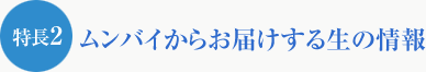 特長2 ムンバイからお届けする生の情報