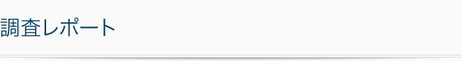 調査レポート