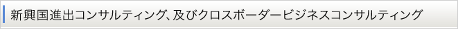 新興国進出コンサルティング、及びクロスボーダービジネスコンサルティング